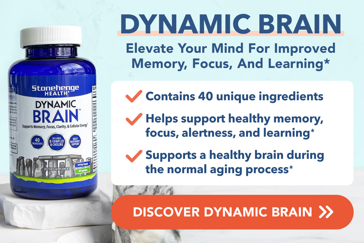 Discover Dynamic Brain