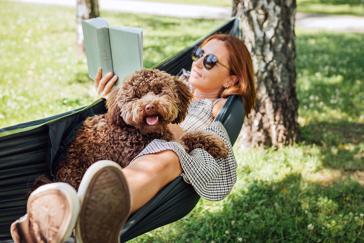 Woman reading book relaxing in hammock with her fluffy brown Maltipoo dog on sunny day.