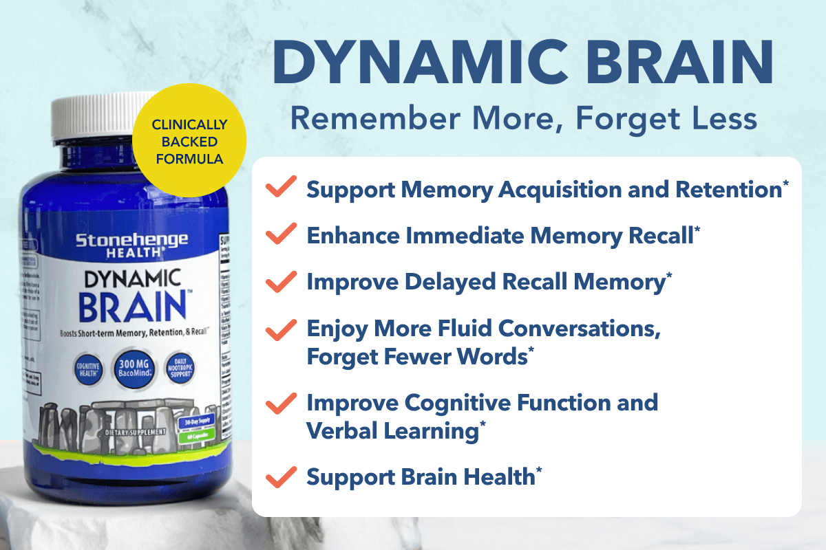 Dynamic Brain 