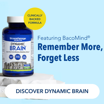 Dynamic Brain