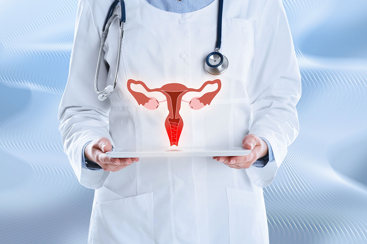 Doctor women reproductive system