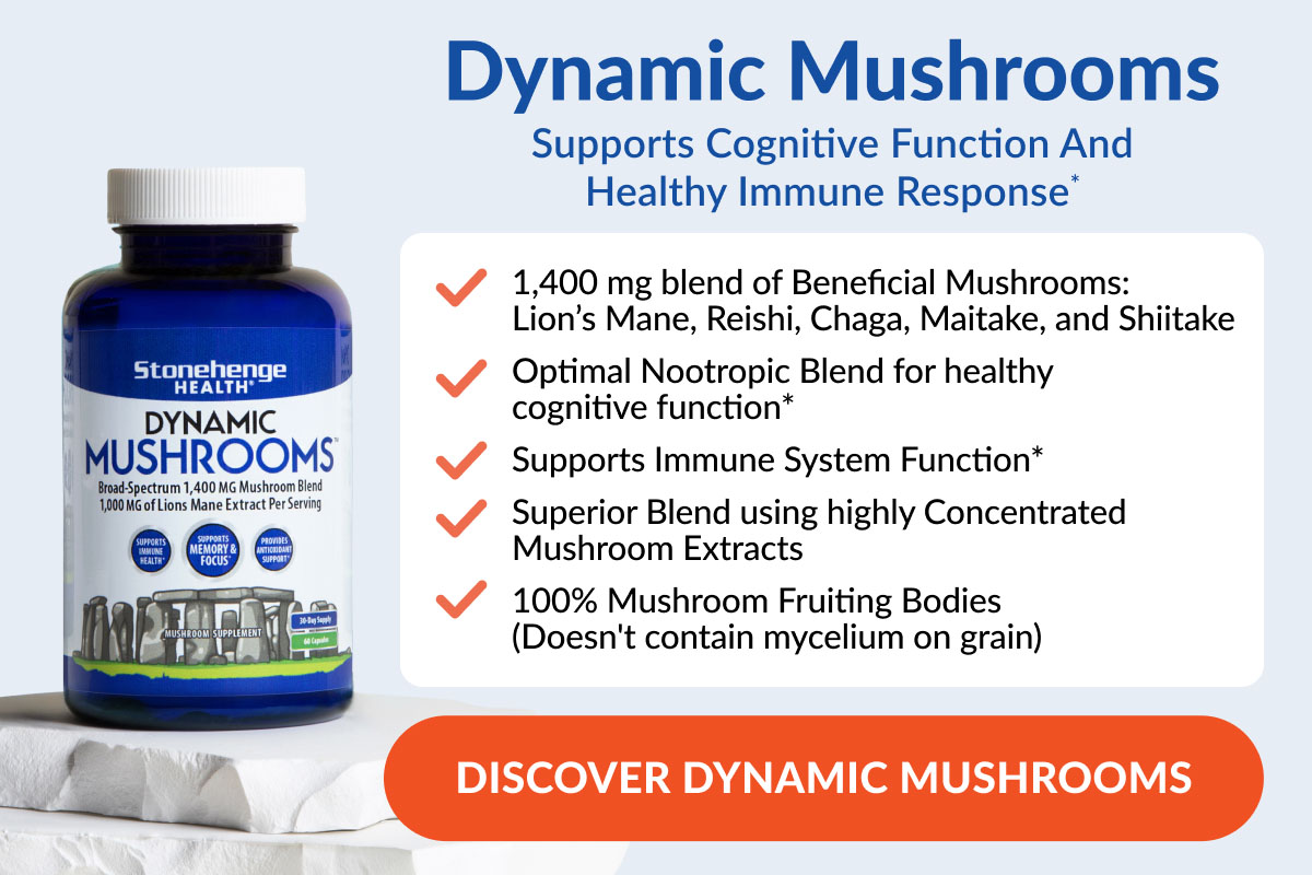 Discover Dynamic Mushrooms