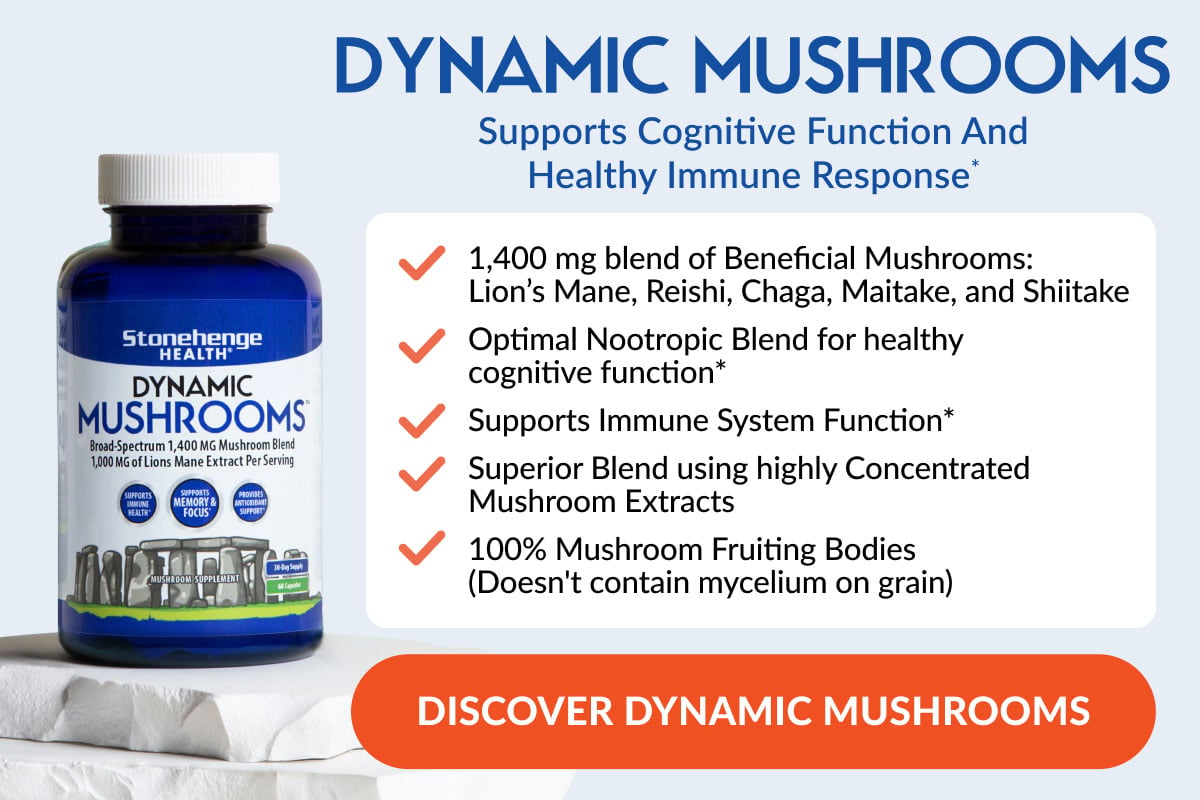 Discover Dynamic Mushrooms