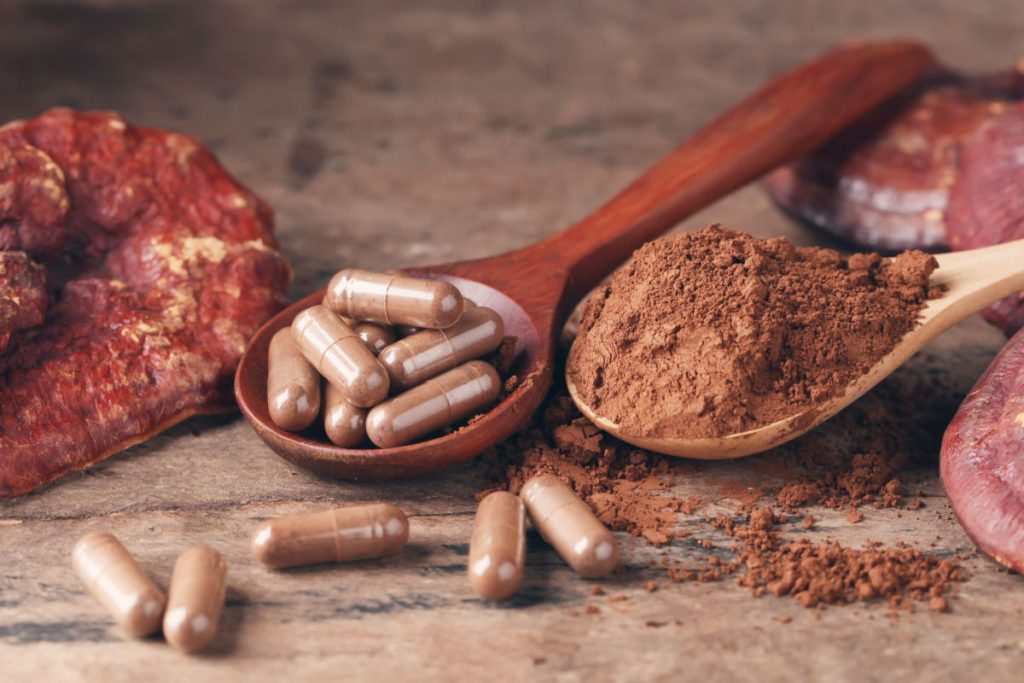 Mushroom supplement capsules