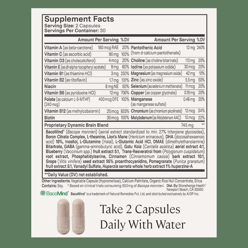 Dynamic Brain | Memory Supplement