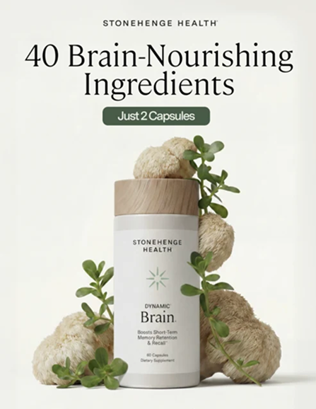 Dynamic Brain