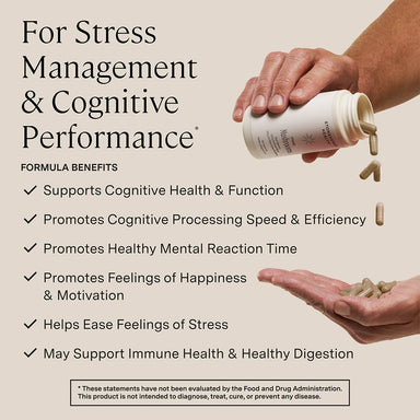 Brain Health Bundle