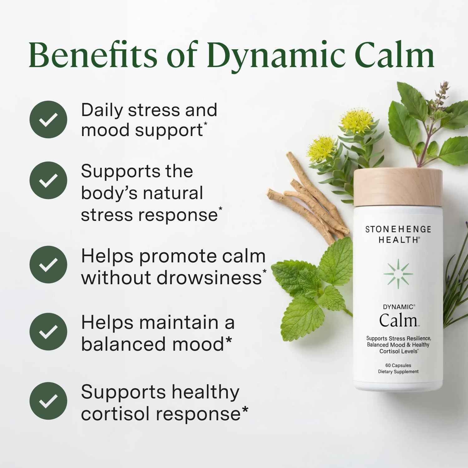 Dynamic Calm Features