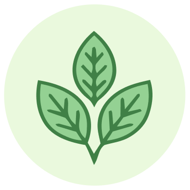 Adaptogenic Herbs